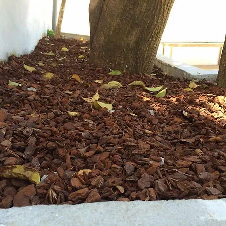 Republica Prime Porto