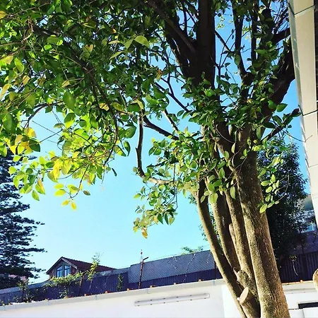 Hostal Republica Prime *