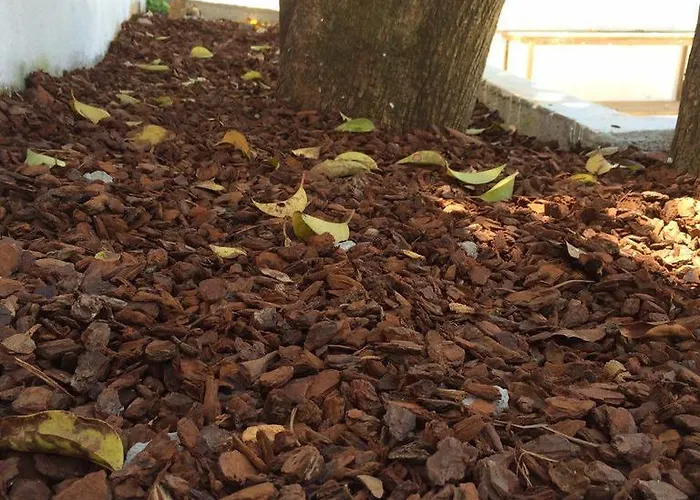 Republica Prime Oporto