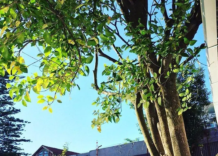 Hostel Republica Prime *